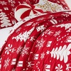 image:imageGreenland Home Novelty Holiday Reversible Matelass Coverlet Set 3Piece FullQueen SnowflakesPeppermint Party